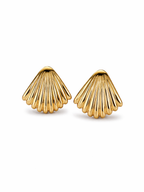 Shell Stud Earrings – Briset London